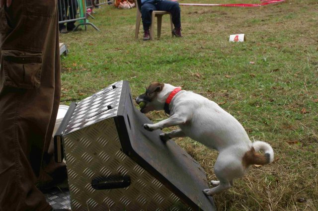 foire-haricots 2011-09-17et18